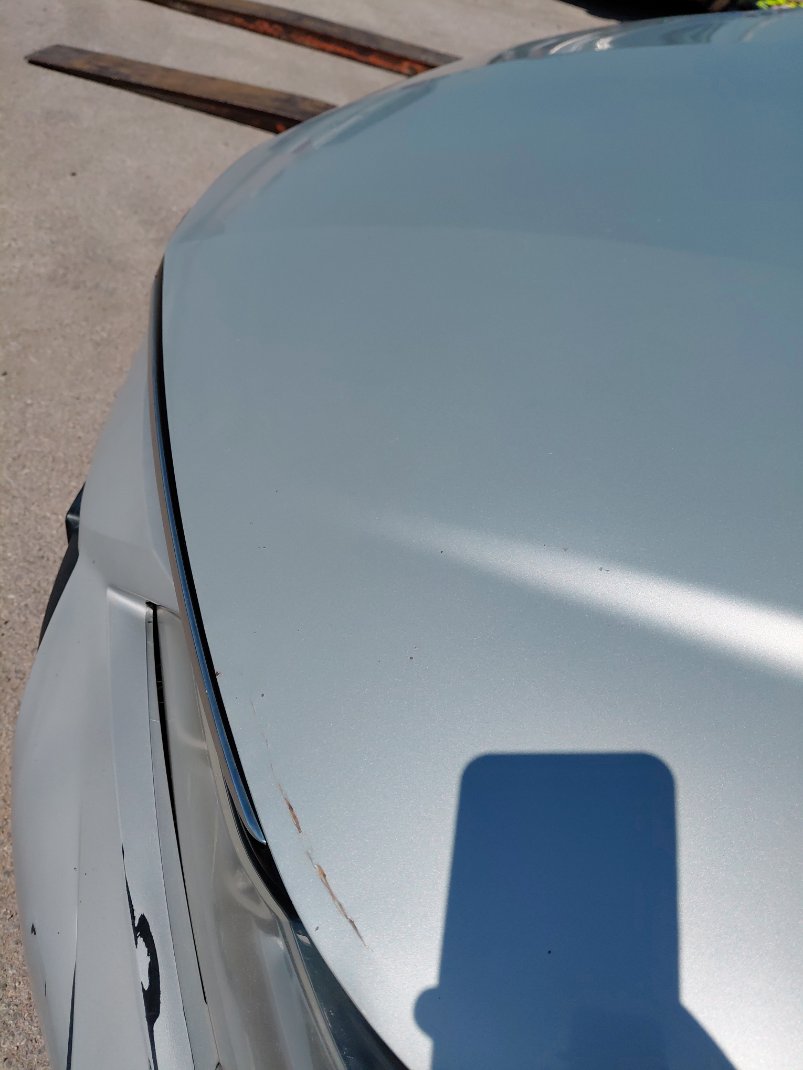 Toyota Corolla XLI EXECUTIVE M/R  2020 image