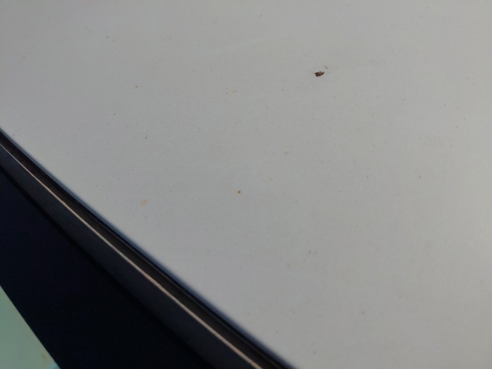 Toyota Rush GL SPORT 2023 image