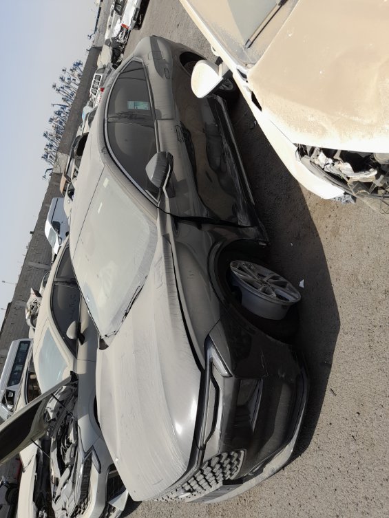 فورد توروس  2024 image