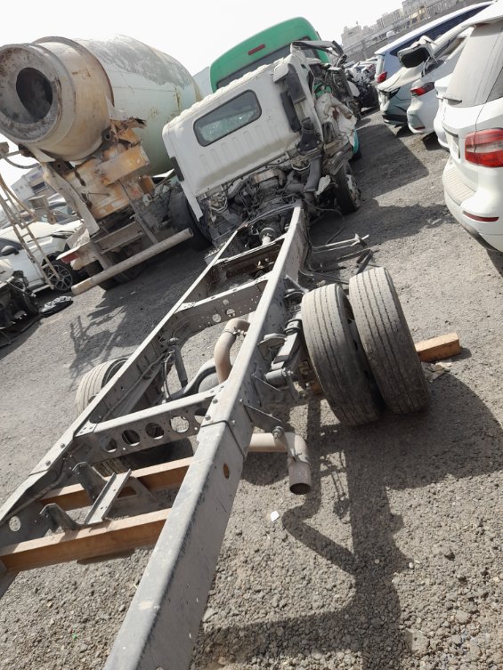 ايسوزو ديينا  2024 image