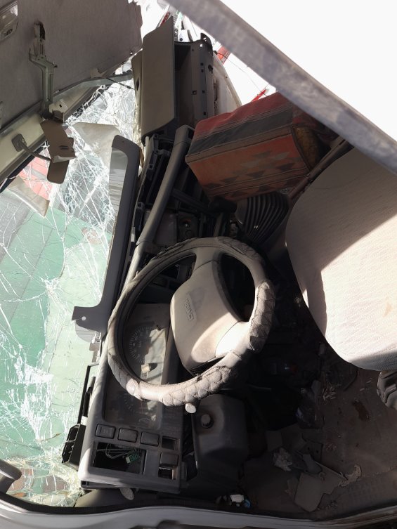 ايسوزو ديينا  2024 image