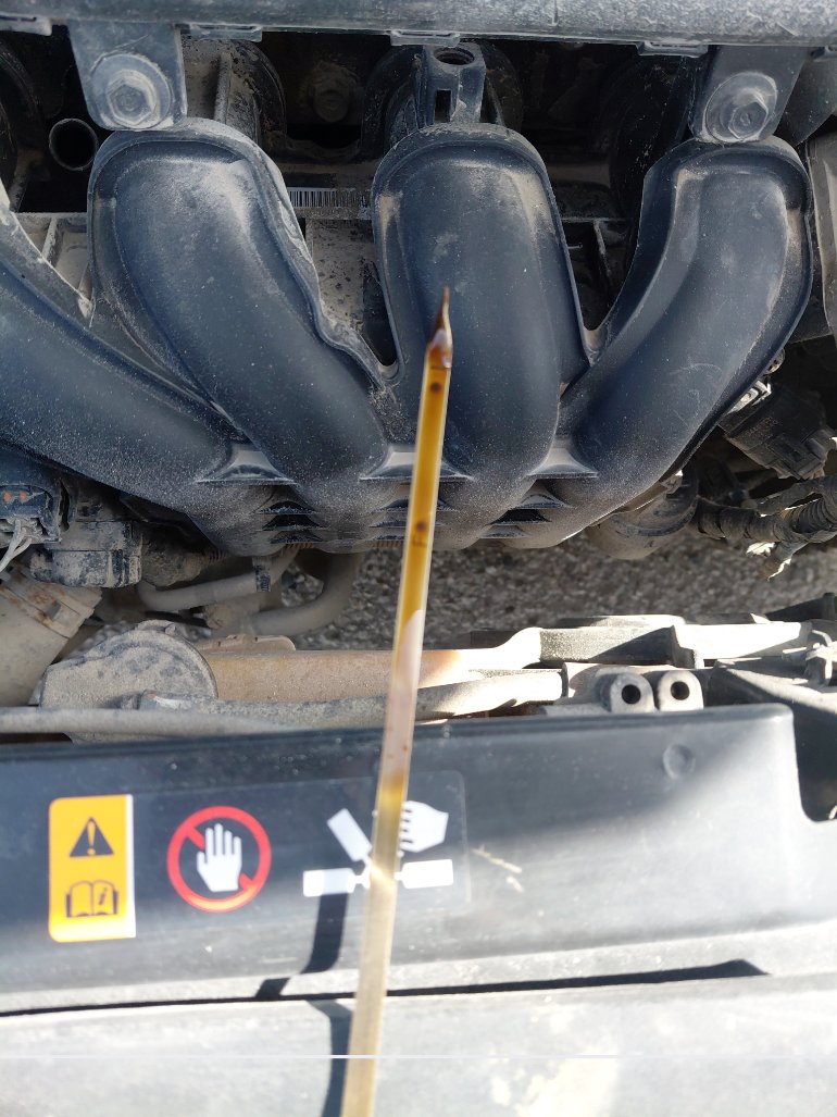 Hyundai Accent FLEET 2020 image