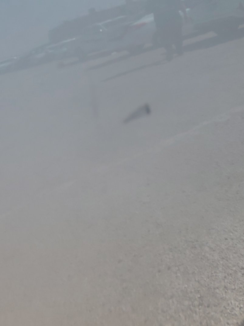 Suzuki DZIRE GLX 2023 image