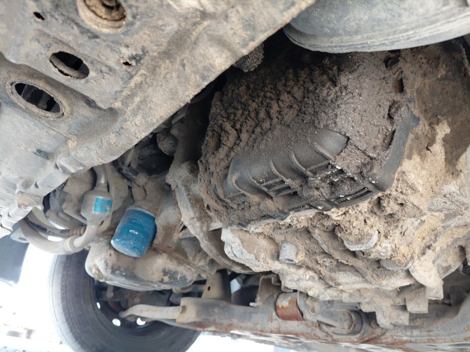 Hyundai Accent FLEET 2020 image