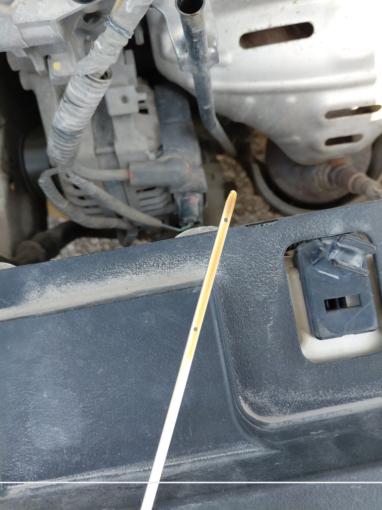 Toyota Yaris Y 2020 image