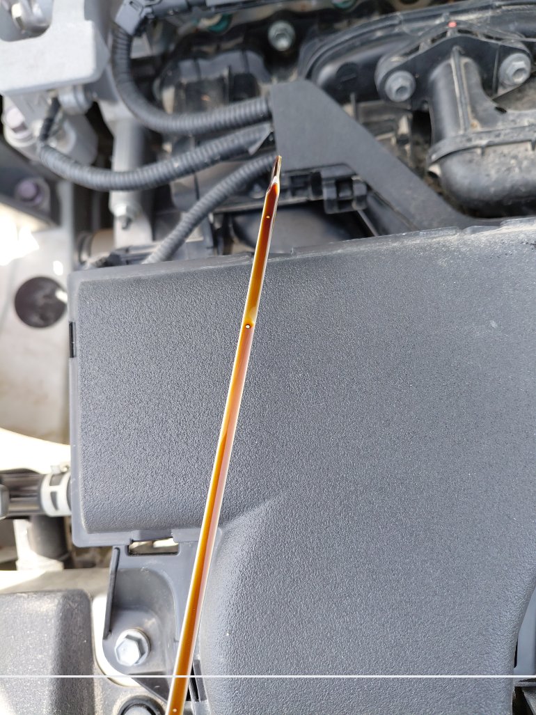 Toyota RAV4 XLE SPORT  2022 image