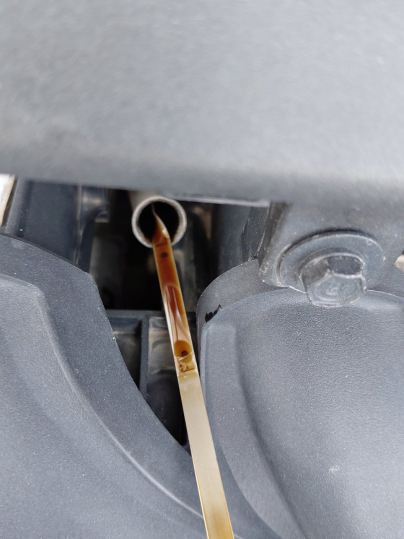 Hyundai Accent FLEET 2021 image