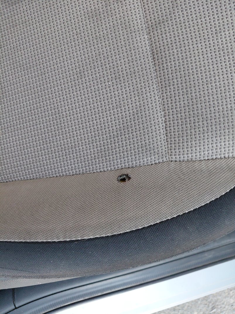 Hyundai Accent FLEET 2021 image