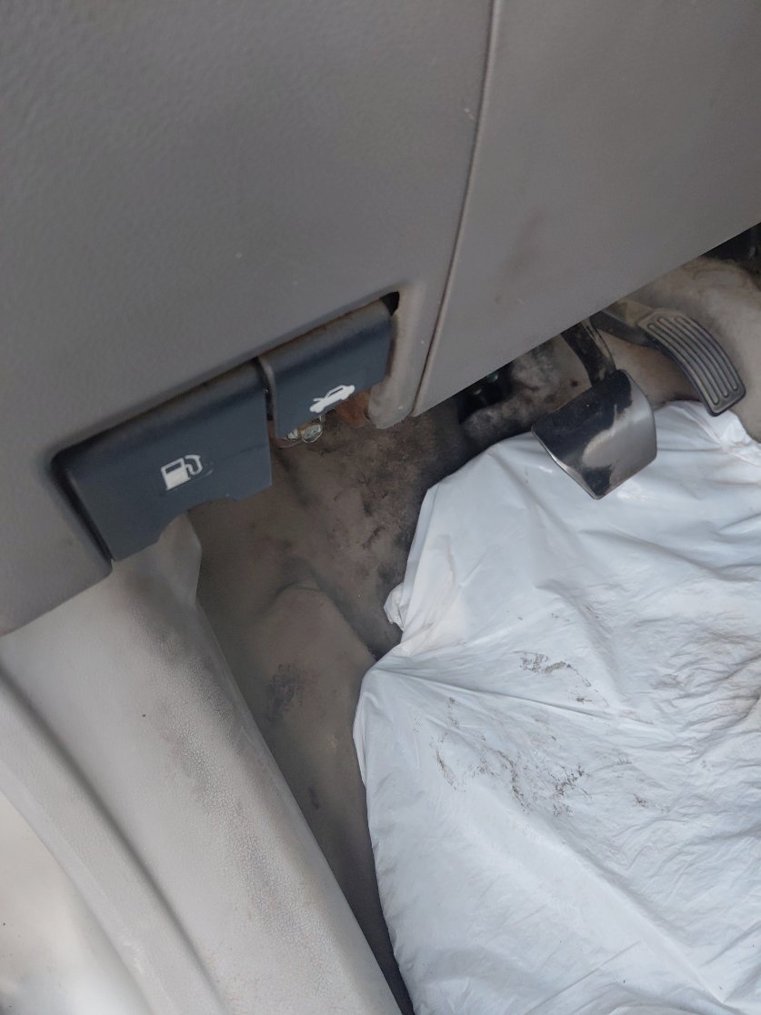 Nissan Sunny FLEET 2019 image