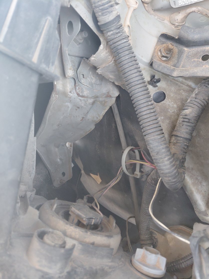 Nissan Sunny FLEET 2019 image