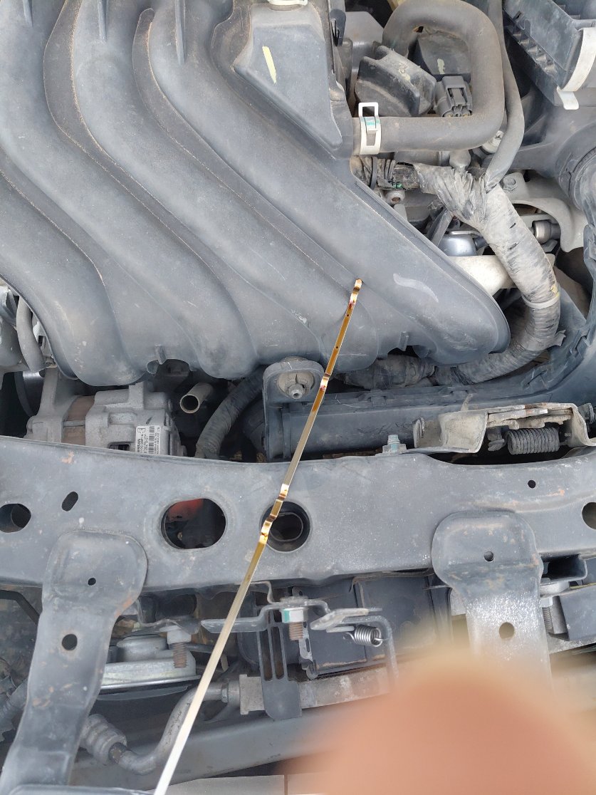 Nissan Sunny FLEET 2019 image