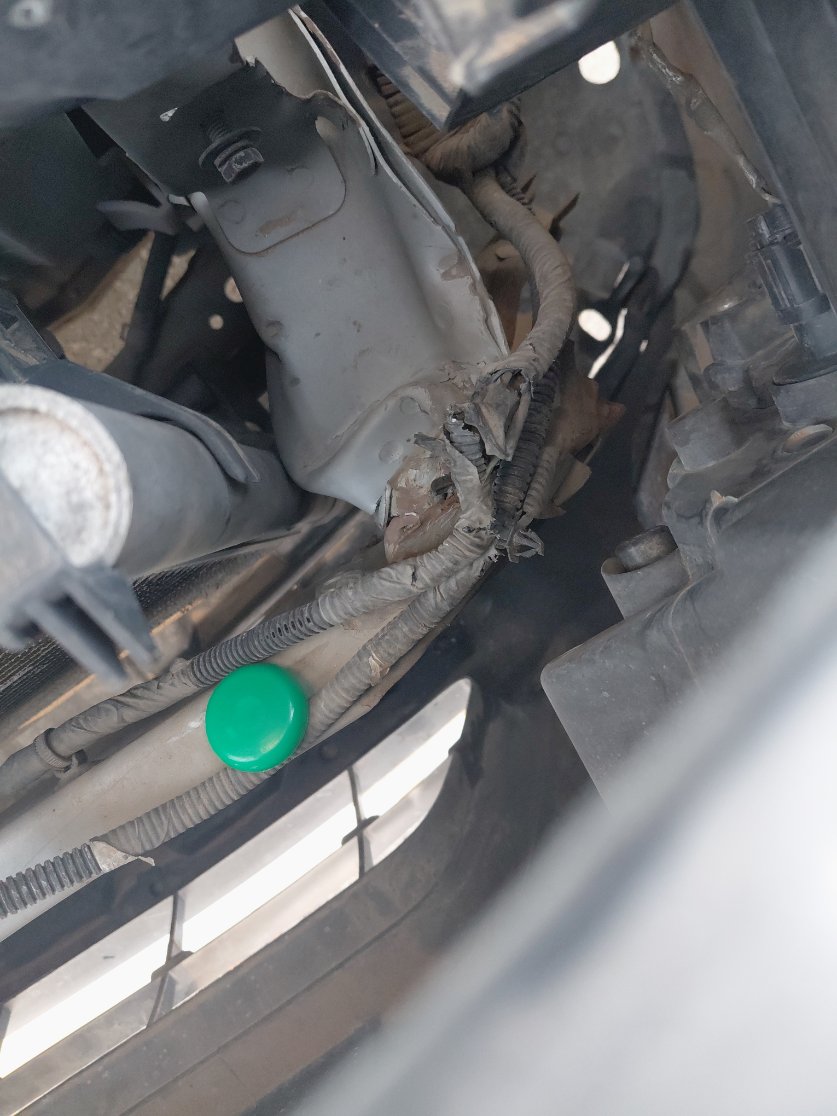 Nissan Sunny FLEET 2019 image