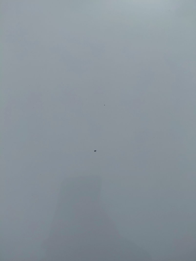 Toyota RAIZE XLE 2023 image