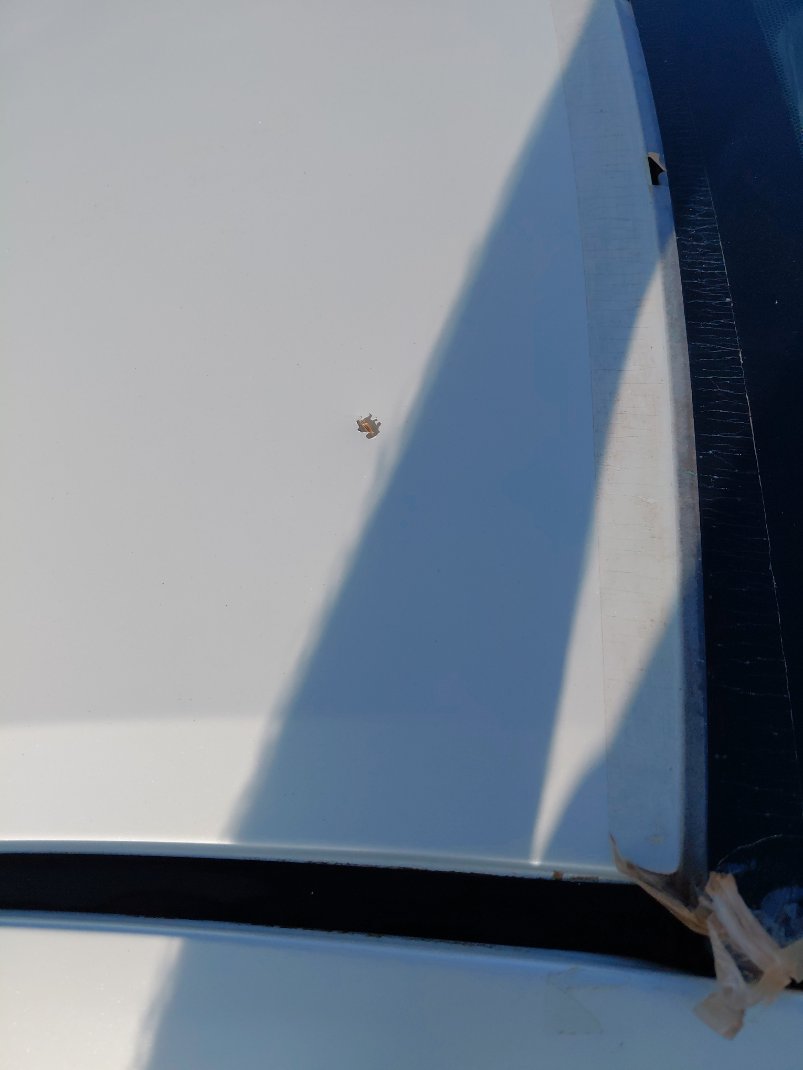 Toyota Corolla GLI 2015 image