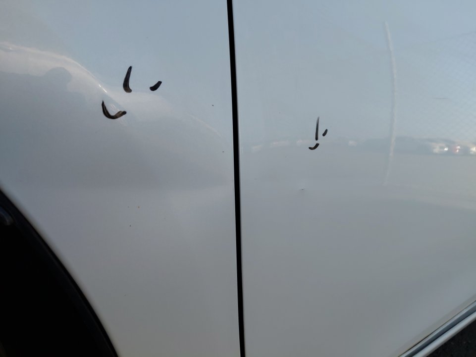 Toyota Corolla GLI 2015 image