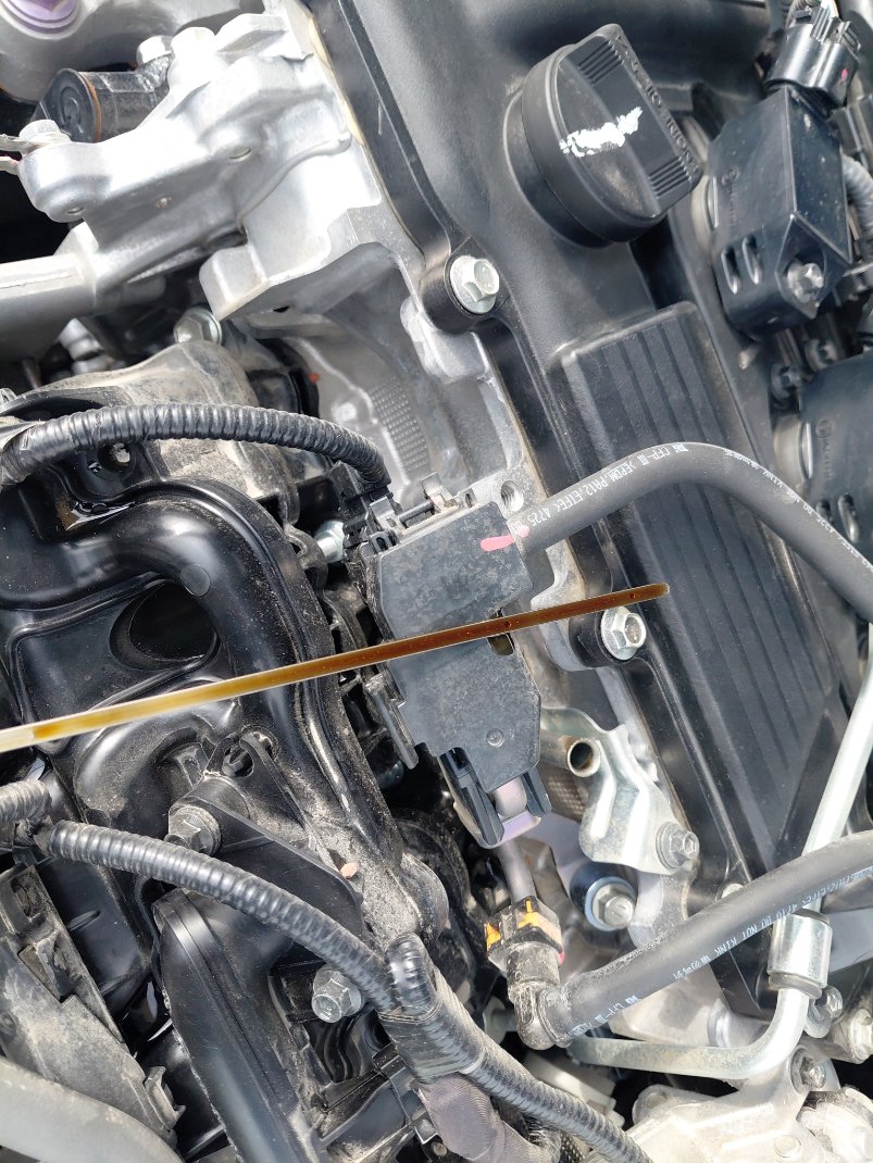 Toyota Corolla XLI 2024 image