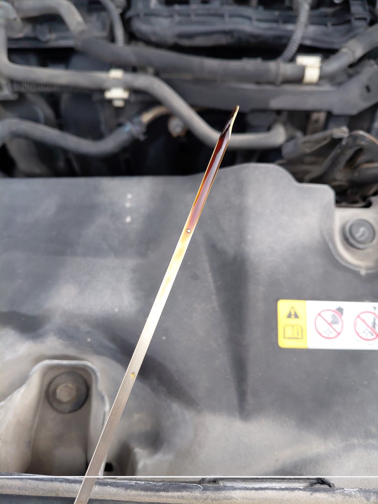 Toyota RAV4  LE HEV SPORTS 2020 image