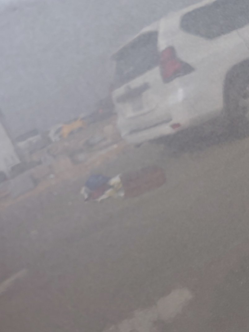 Toyota Corolla XLI 2024 image