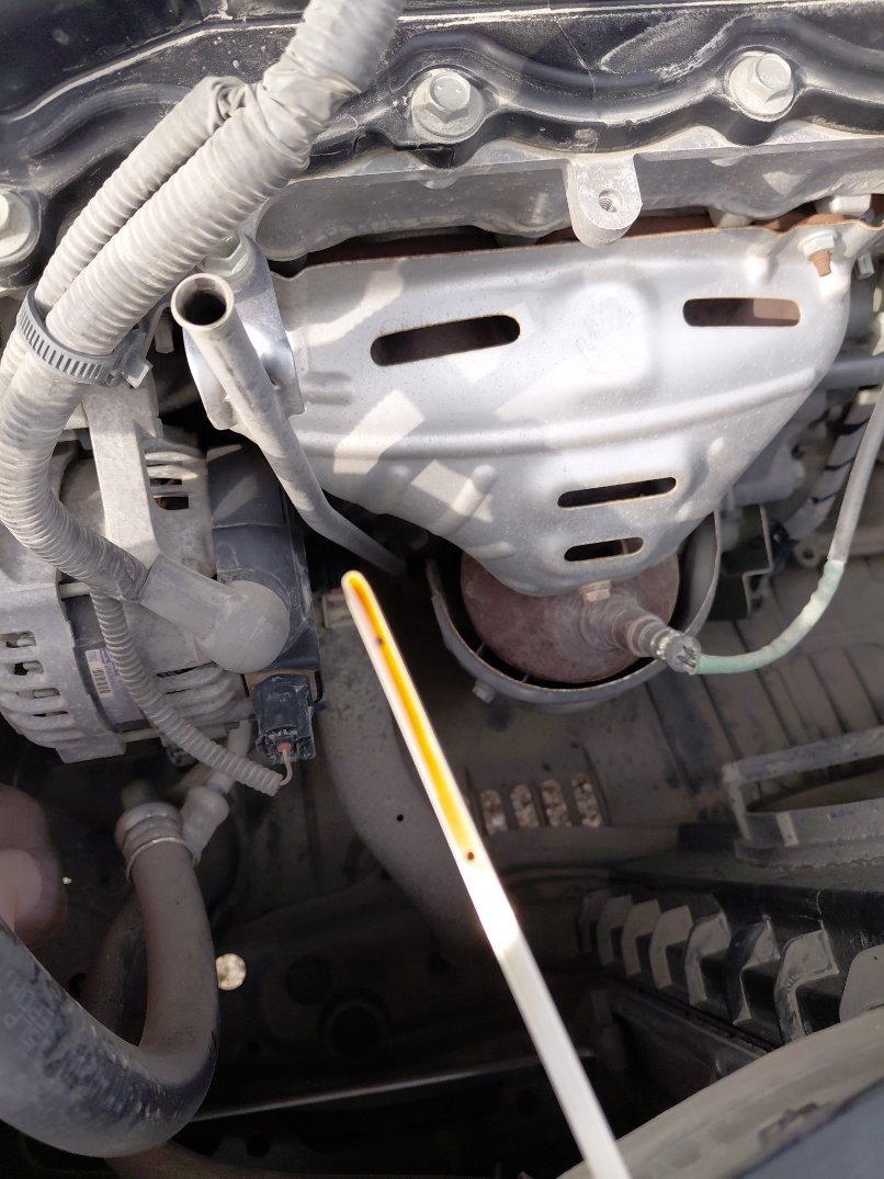 Toyota Yaris Y 2023 image