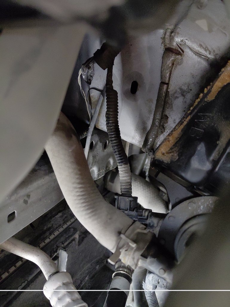 Toyota RAV4  LE HEV SPORTS 2020 image