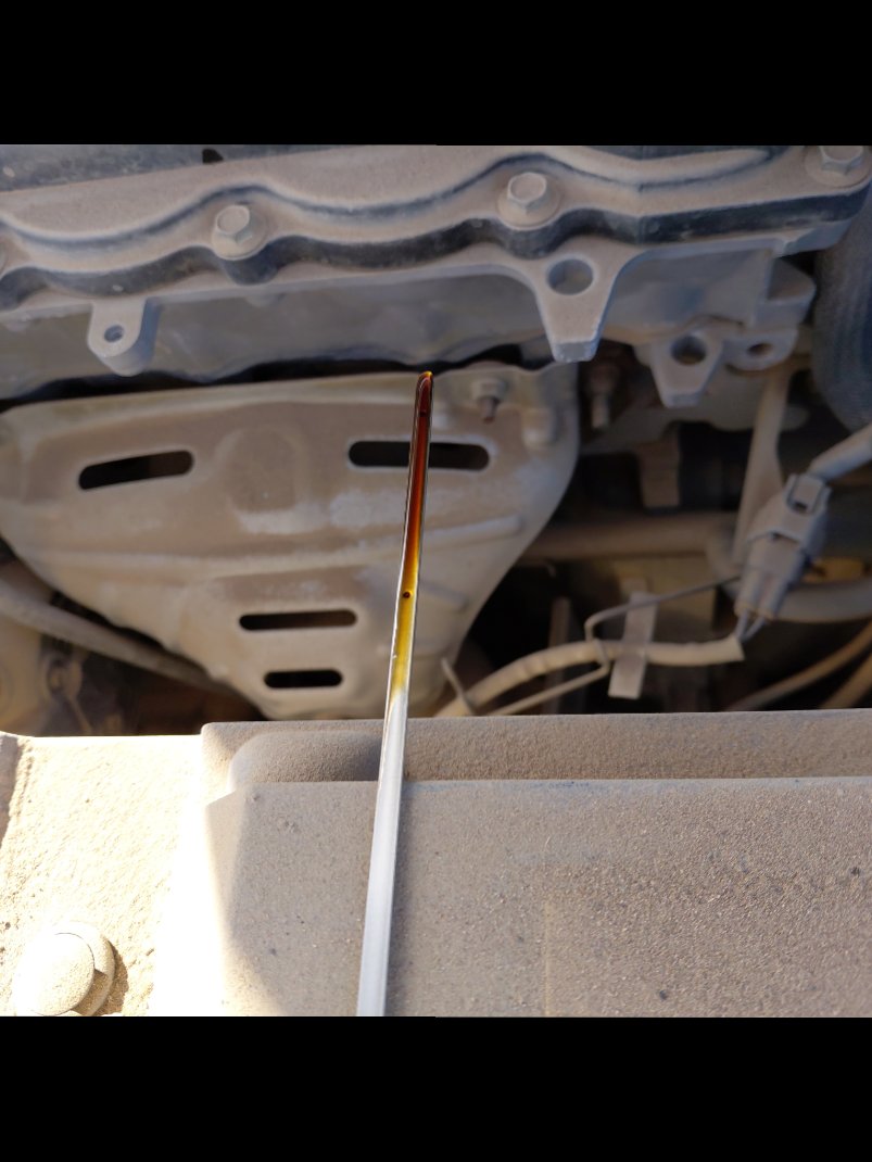 Toyota Yaris Y 2018 image