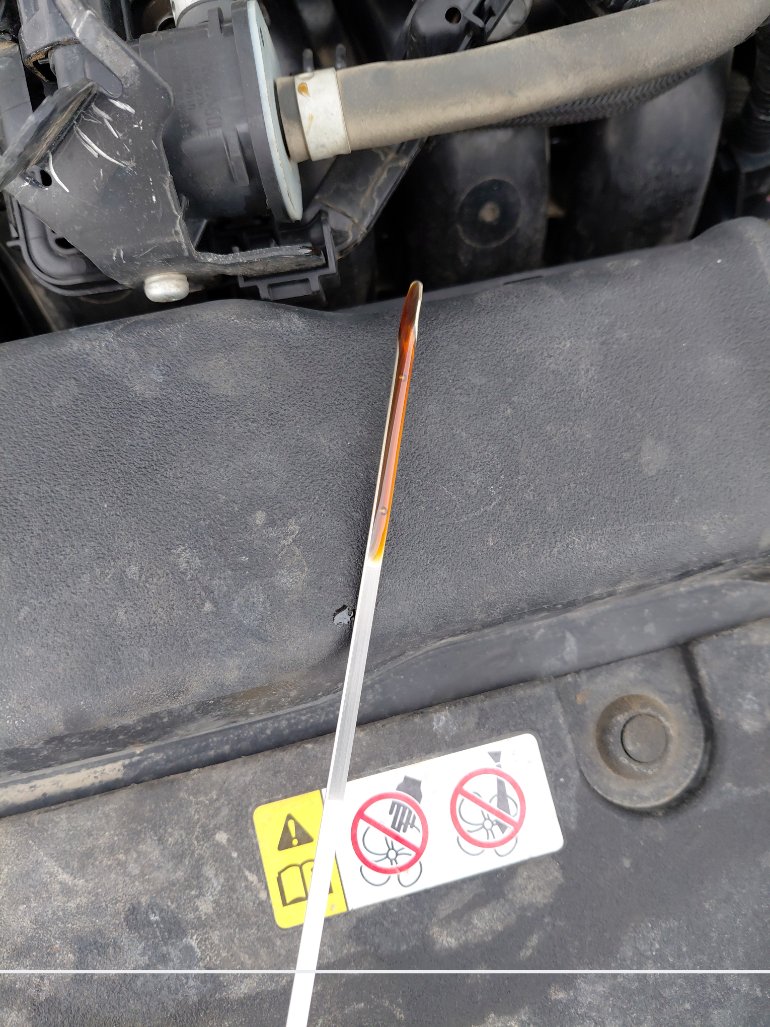 Toyota Corolla XLI EXE 2023 image