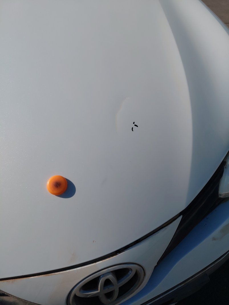 Toyota Yaris Y 2018 image