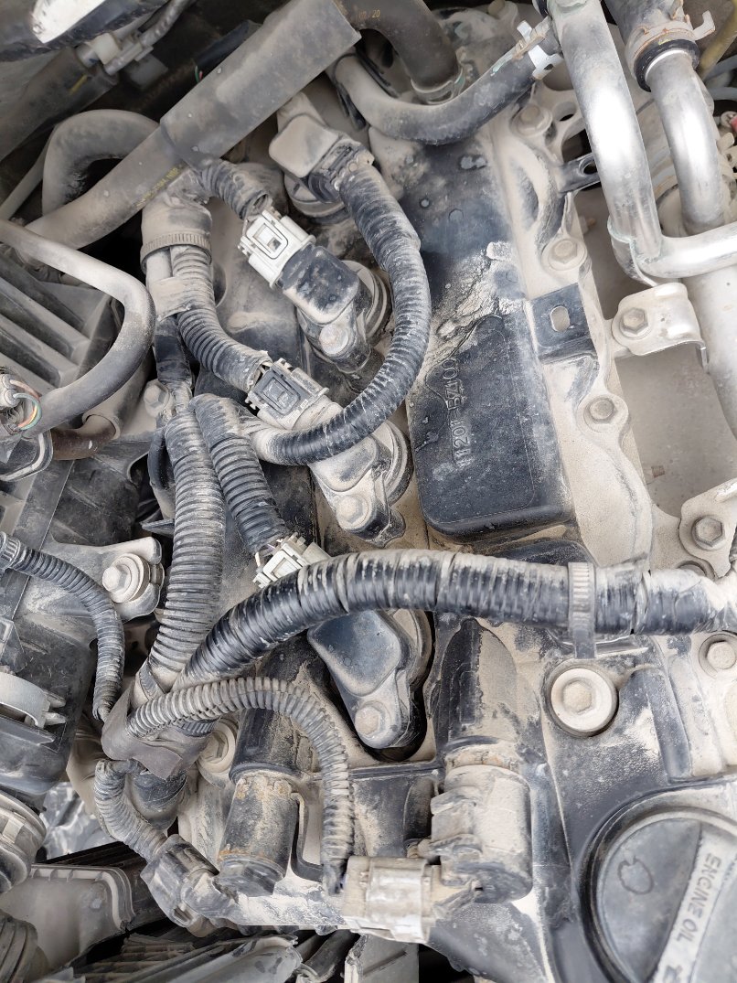 تويوتا راش  STD SPORTS  2020 image