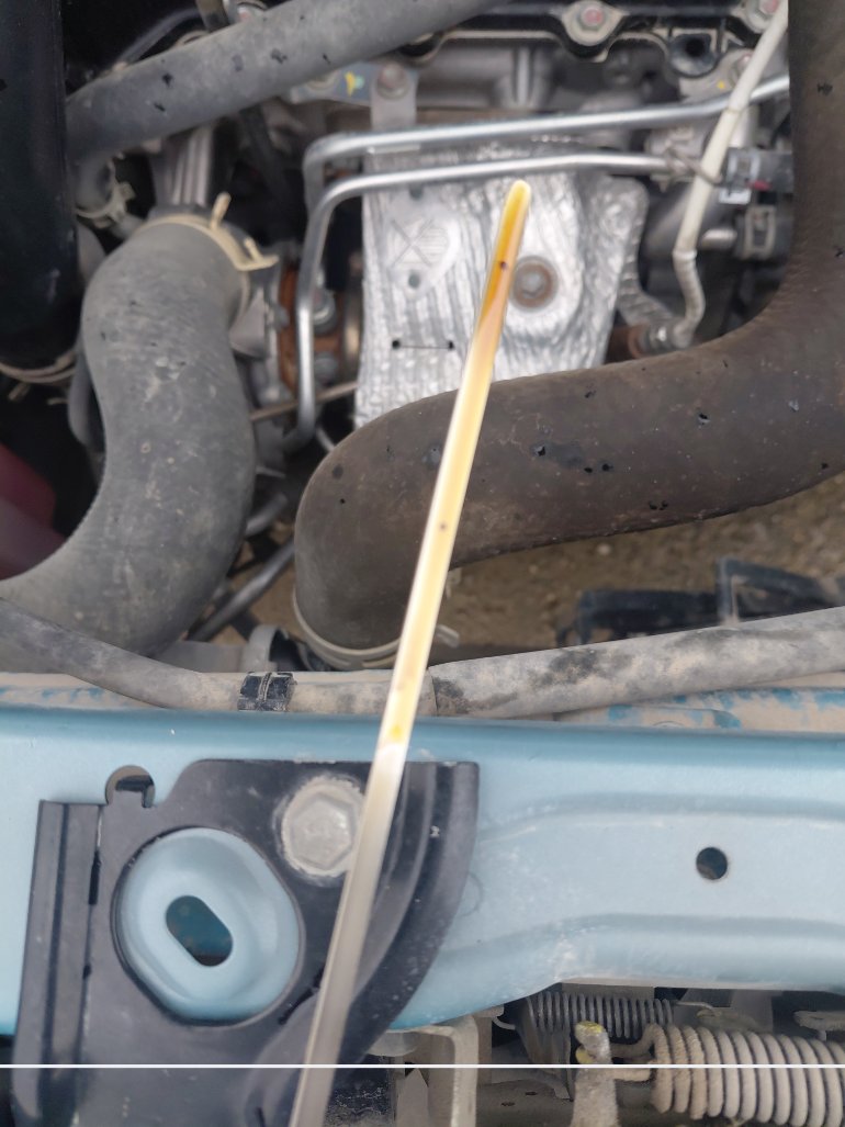 Toyota RAIZE LIMITED 2023 image