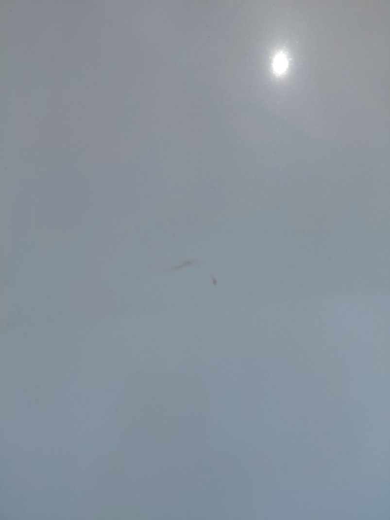 Toyota Corolla  XLI  2018 image