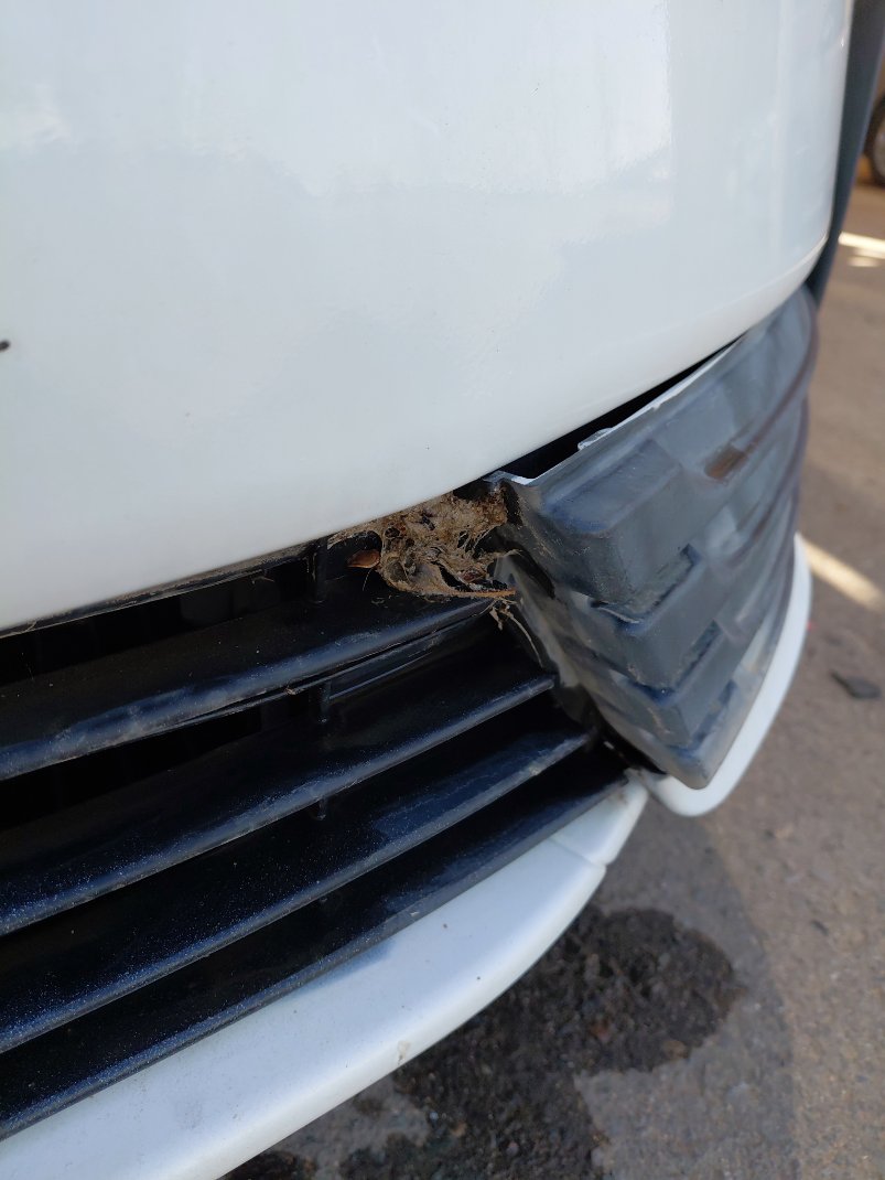 Toyota Corolla  XLI  2018 image