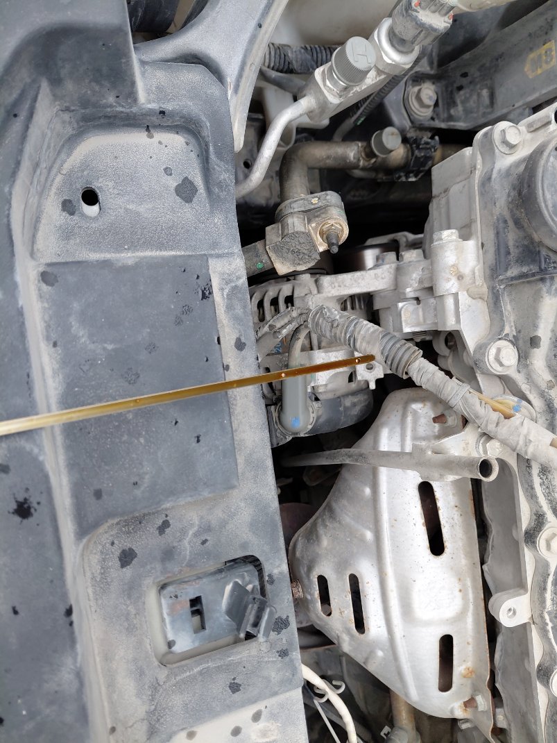 Toyota Yaris Y 2021 image