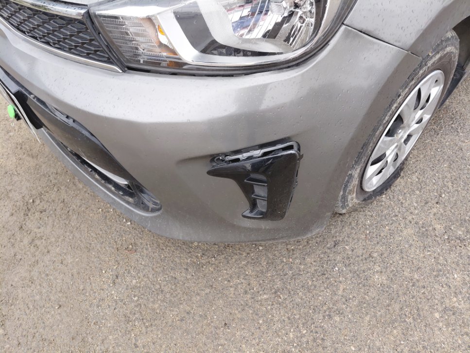 كيا بيجاس  GL  2024 image