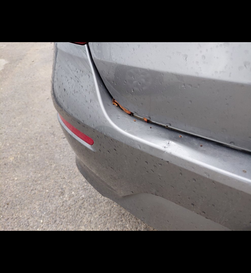 كيا بيجاس  GL  2024 image