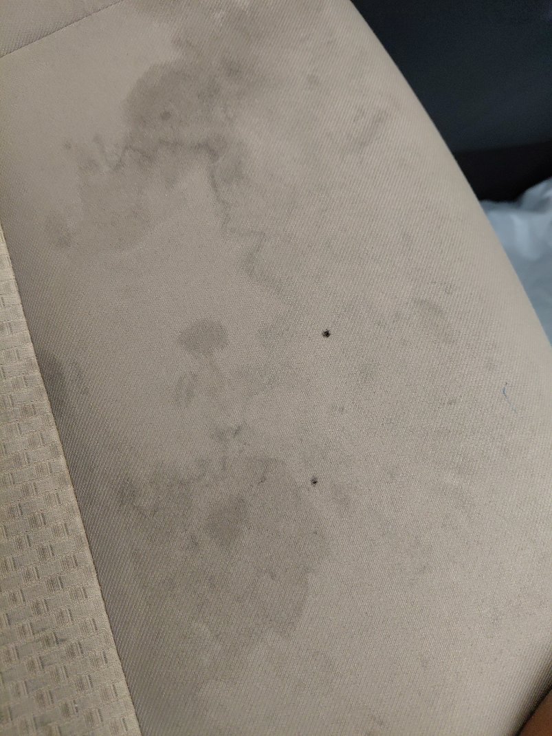 Toyota Yaris Y 2024 image