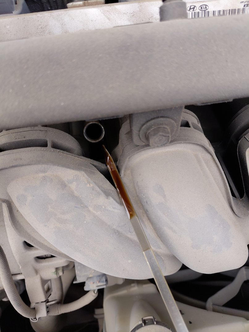 KIA Pegas LX 2023 image