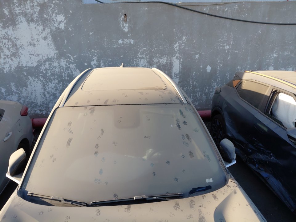 جيلي ستار راي  2024 image