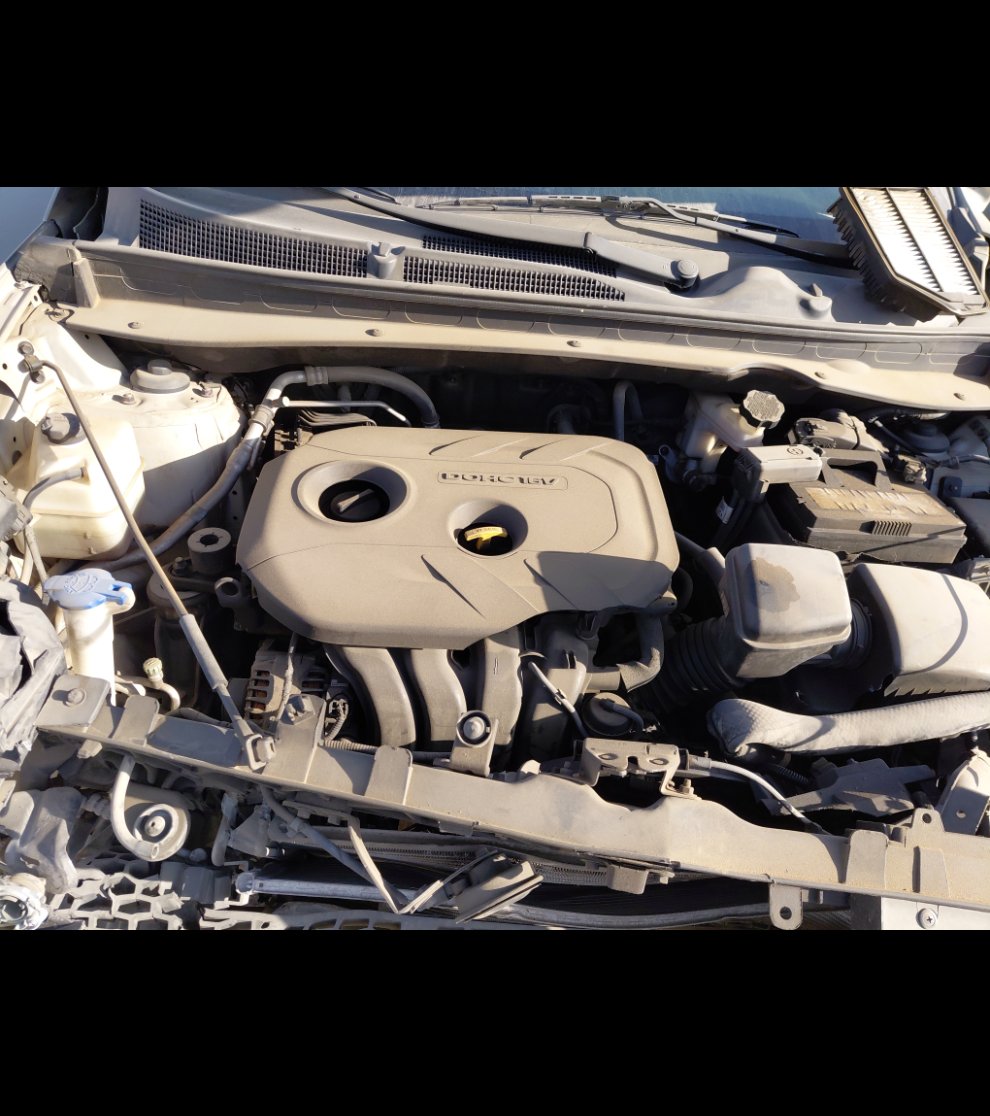 KIA Sportage  2015 image