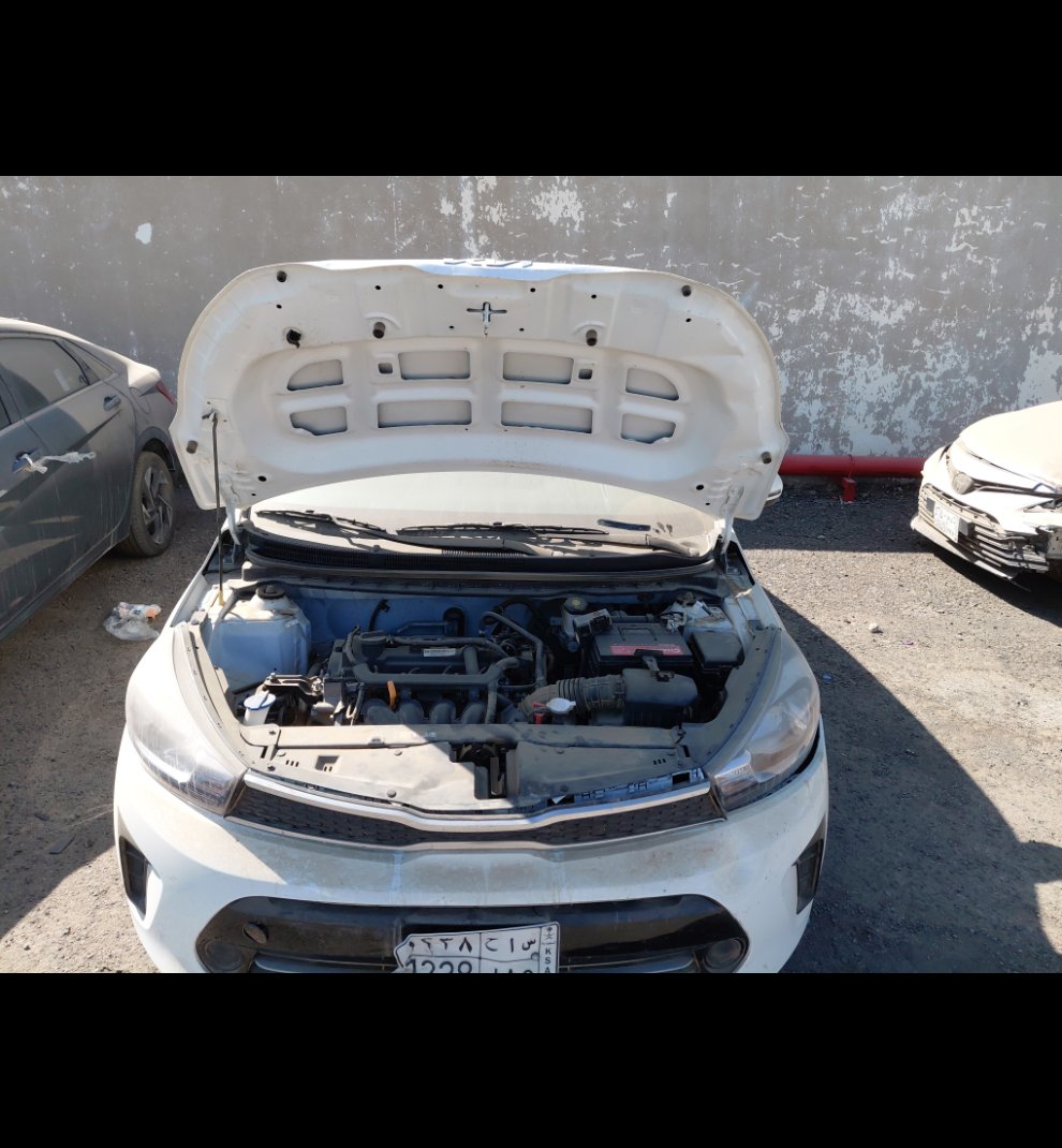 KIA Pegas  2026 image