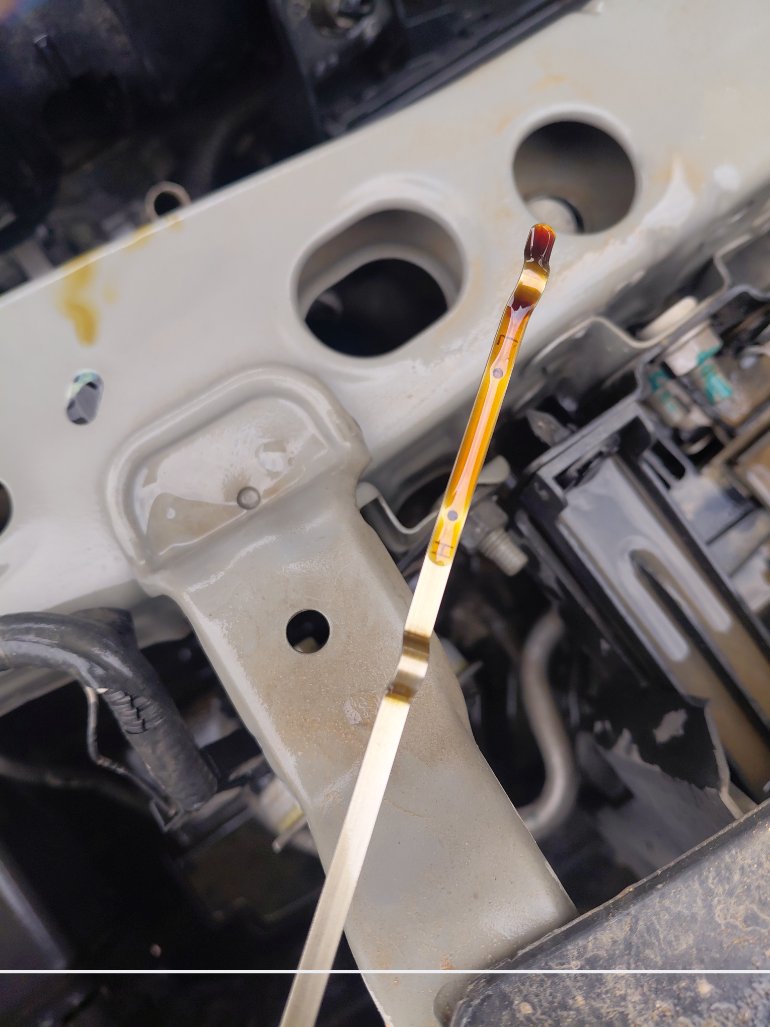 Nissan Sunny FLEET 2021 image