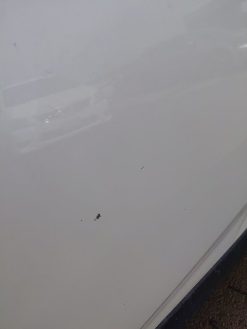 Toyota RAV4  XLE Sports Ut 2020 image