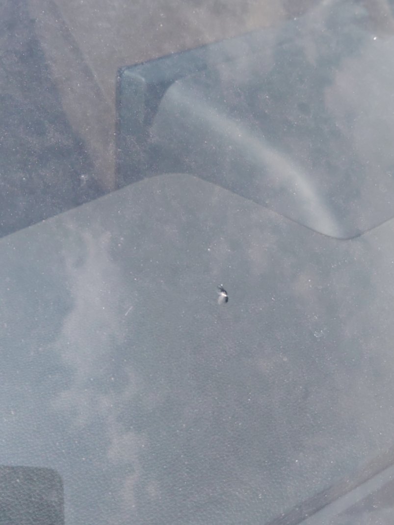 Toyota RAV4  XLE Sports Ut 2020 image