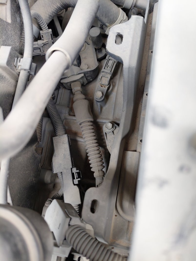 Toyota RAV4  XLE Sports Ut 2020 image