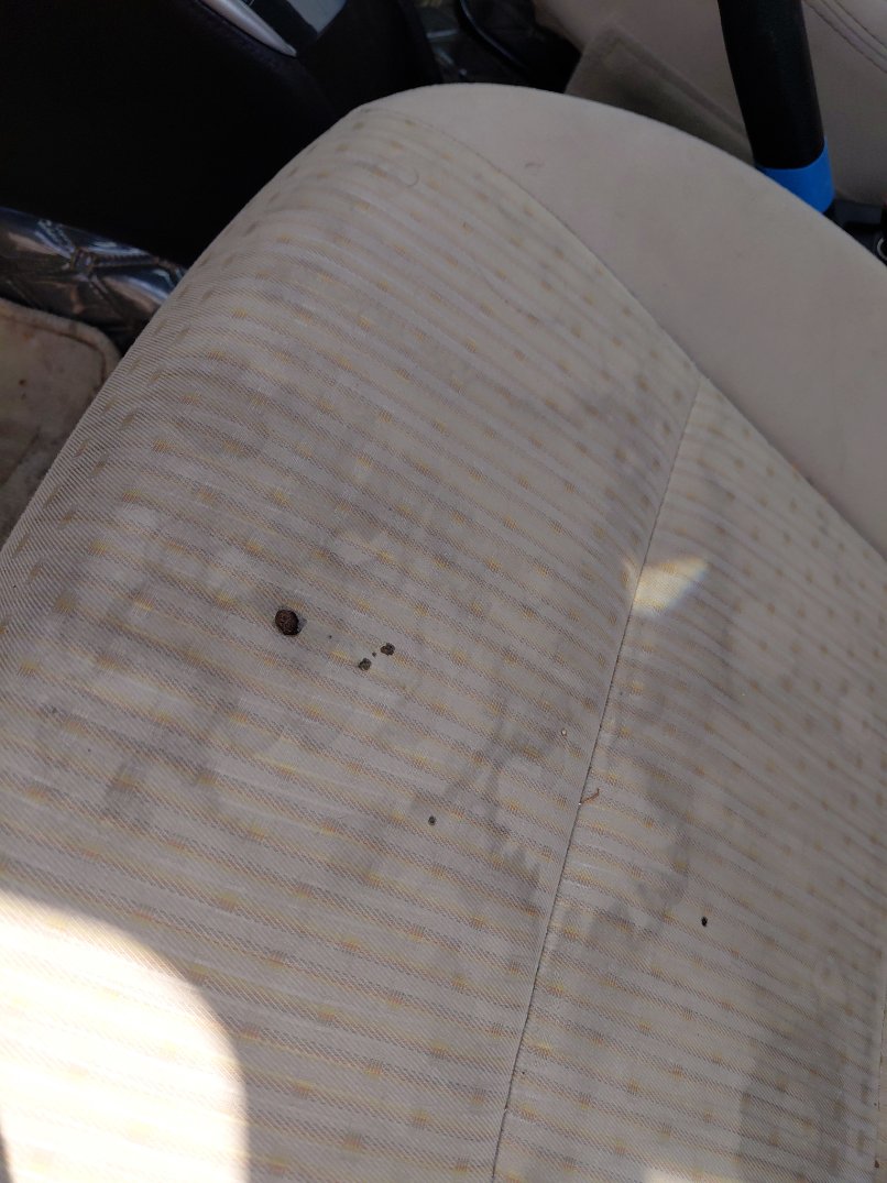 Toyota Yaris  Y 2020 image