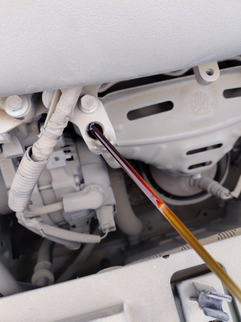 Toyota Yaris  Y 2020 image