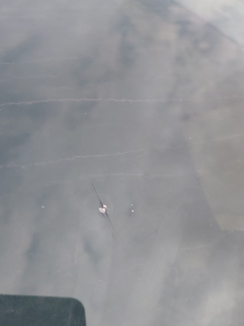 Toyota Yaris  Y 2020 image