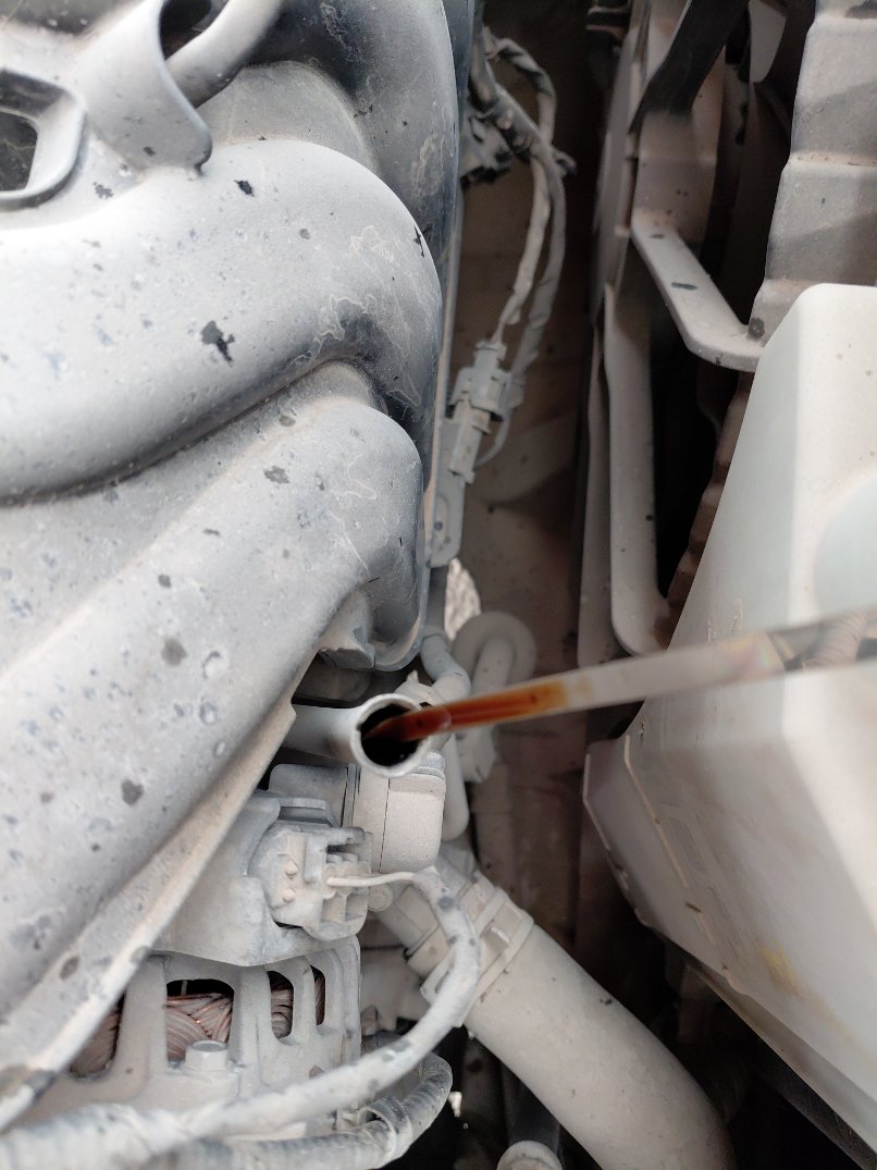 KIA Seltos LX 2023 image