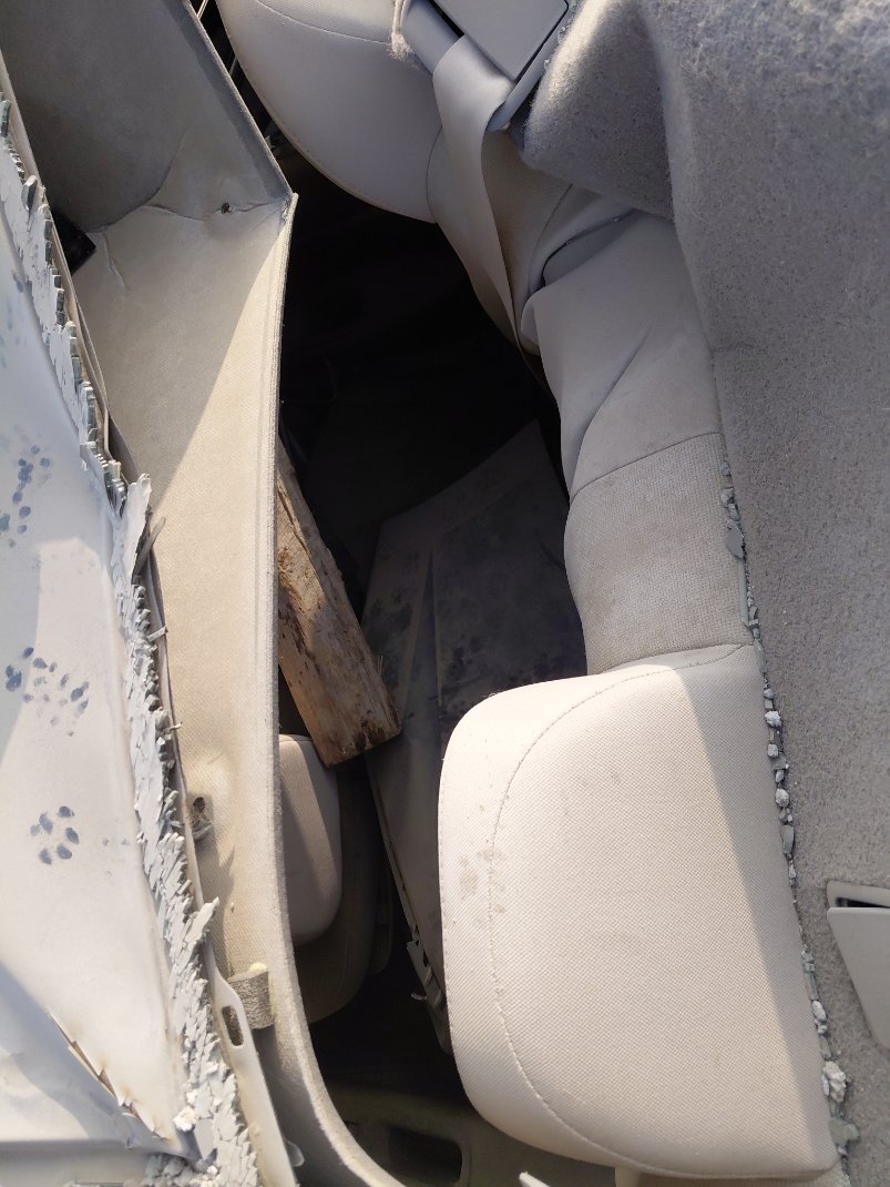 Hyundai Elantra  2025 image