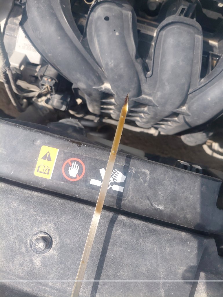 Hyundai Accent FLEET 2021 image