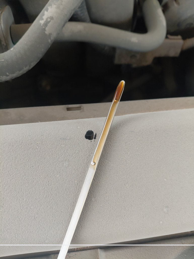 Toyota Corolla XLI  2022 image